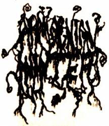 logo Appalachian Winter (USA-2)